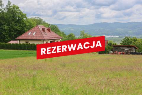 Na sprzedaż działka 79 arów- Domosławice