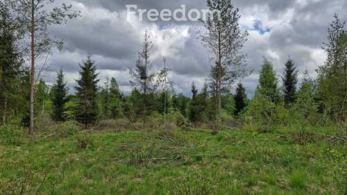 Twoje miejsce ciszy 750m od jeziora Warmia Mazury