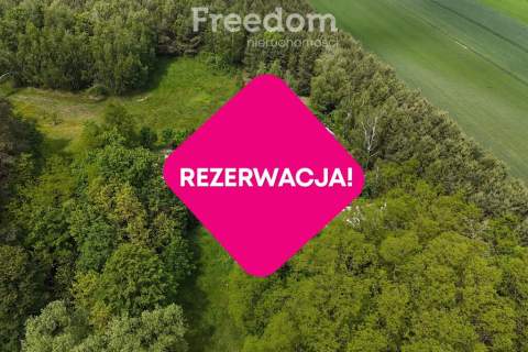 Urokliwe siedlisko w pobliżu rzeki Liwiec
