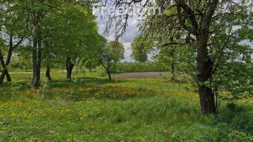 Przestronna działka 3 735 m na Warmii i Mazurach