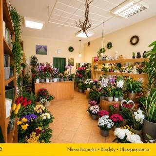 Lokal użytkowy na sprzedaż, 59 m2, Sępólno Krajeńskie