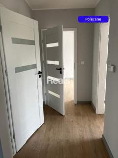 Nowy bliźniak do wynajęcia   Granica k. Komorowa