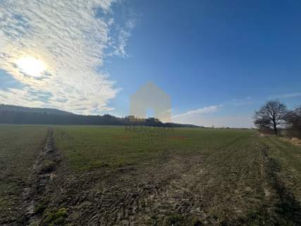 Działka Rolna 4.54ha/Burkatów/Inwestycyjna