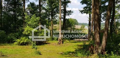 Atrakcyjna działka leśna 3000m2, Piece/Trzechowo