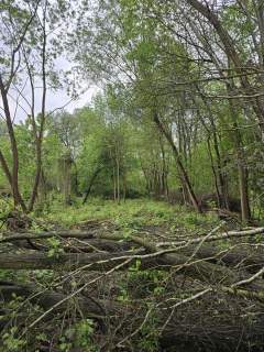 Działka budowlana na sprzedaż, 2489 m2, Będzin
