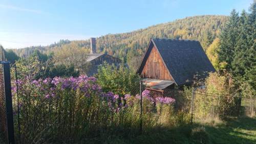 Siedlisko w Rajczy