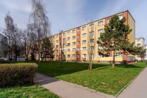 2 pok. Zielona okolica Piwnica
