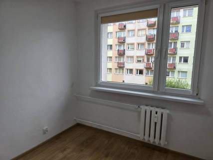 Mieszkanie do wynajęcia, 37 m2, Białogard