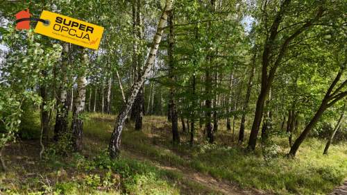 Urocza zielona działka z WZ 37,56ar Odrzykoń