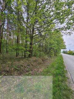 Leśna działka na sprzedaż