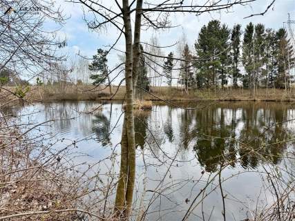 Działka budowlana ze stawem - Chałupy