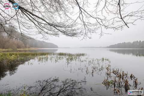 Bez prowizji Działka nad Jeziorem 372m2