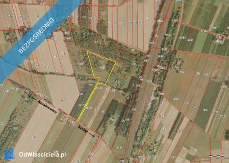 Działka 2.46 ha k. Mszczonowa z warunkami na bud. mieszkalny