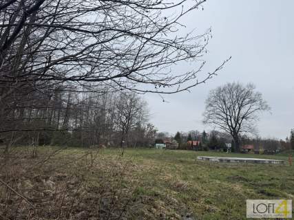 Działka z potencjałem pod Twój dom