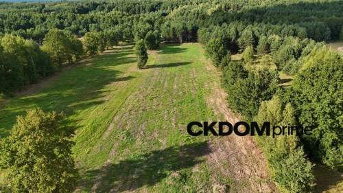 Działka na sprzedaż 910 m2 Gałęzice gm. Piekoszów