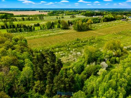 Działka Kocerany - 4,72 ha - Blisko S7