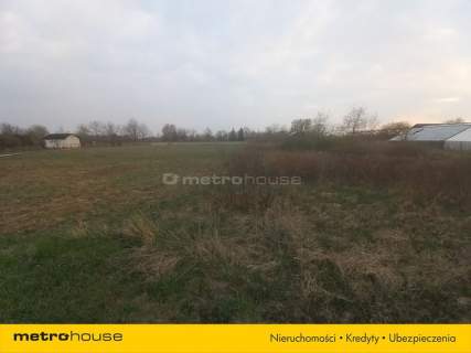 Działka 3474 m2 /media/Kępa Okrzewska/Konstancin