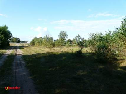 DZIAŁKA W CIĄGU DK 10 POW. 0,7500 HA 