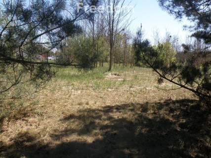 Na sprzedaż działka 71/4 o powierzchni 3988 m2