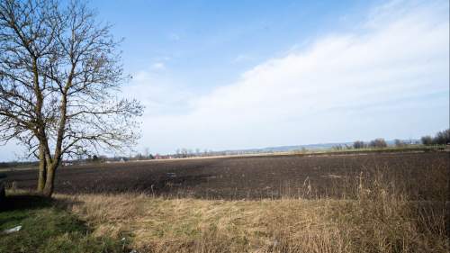 Działka - Węzina