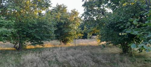 Ładna, uzbrojona działka pod lasem-33a-Wilczopole