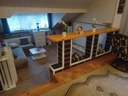 Dom wolnostojący na dużej działce - Wawer/Międzylesie