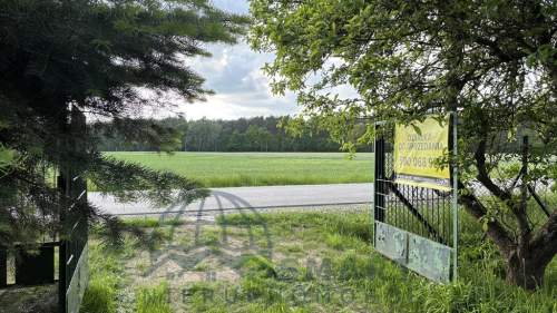 Wodzin, wiejsko leśna działka pod Łodzią.