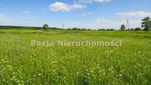 DZIAŁKA BLISKO PŁOCKA