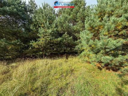 Działka budowlana na sprzedaż, 8200 m2, Rychlik