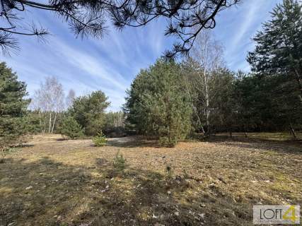 Twój niemały kawałek natury 1,26 ha.