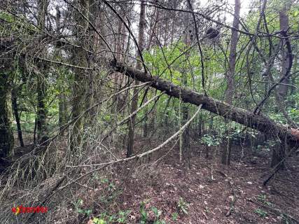 Działki pod Rezydencję w Dzielnicy Wyczerpy