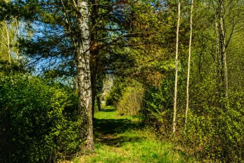 WYJĄTKOWA DZIAŁKA Z WZ 3204 m2 GRABÓW NAD PILICĄ