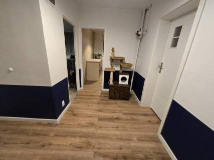 Mieszkanie na sprzedaż, 48,6 m2, Rybnik