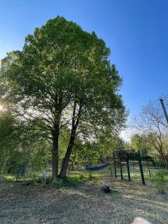 Działka 2800 m2 z WZ, prądem, wodą, stawem, dojazd asfaltowy