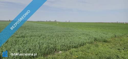 Dom z działką koło Gniezna 115m2