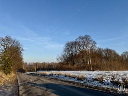 Malownicza działka 2500 mkw - Ruda-Bugaj