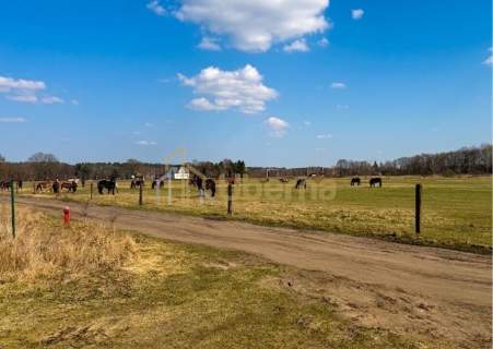 Działka 1506 m2 Białuń, ul. Jarzębinowa - MPZP