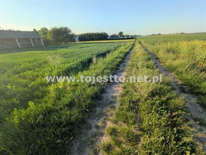 GRÓDEK, działka zabudowana 1700m2, dom budynki