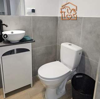 Katowicka 2, Podgórze, przyjazne zwierzętom studio