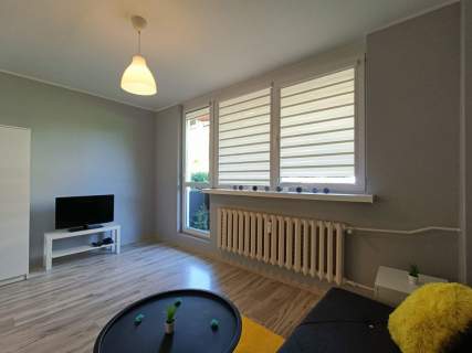 Niski czynsz Balkon Strefa ekonomiczna