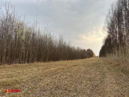 Na sprzedaż atrakcyjna działka inwestycyjna z WZ