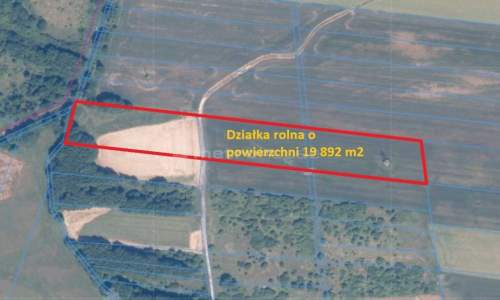 2 ha działki rolnej w zielonogórskiej Zawadzie