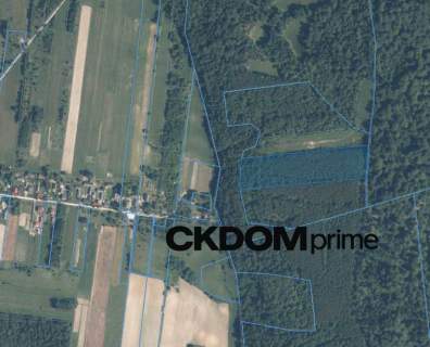 Działka inwestycyjna Cisów 22 500 m 
