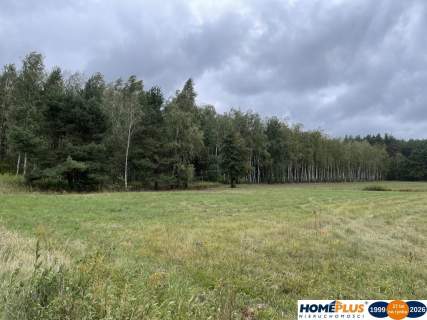 Działka inwestycyjna 7000 m Sieraków k. Radzymina