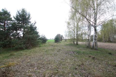 Duża działka 0,6 ha rolno budowlana Wola Lisowska