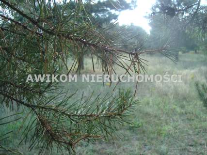 Działka budowlana na sprzedaż, 1353 m2, Ojrzanów