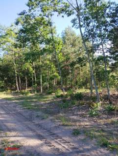 DZIAŁKA ROLNA O POW. 2,16 HA BEZ MPZP
