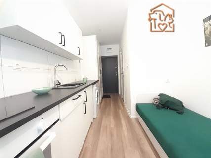 Jasne studio przyjazne dla zwierząt - Świdra 15