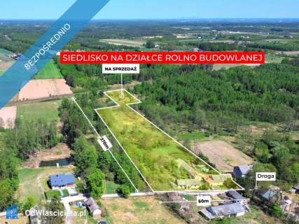 Siedlisko w Suchostrudze koło Tarczyna