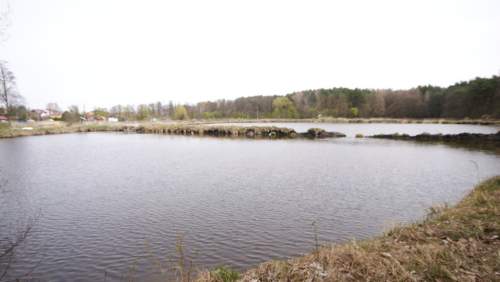 5,42 ha, Stawy rybne, las, Zemborzyce, Lublin